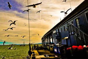 稳定的自助渠道推荐的网页版电话攻击